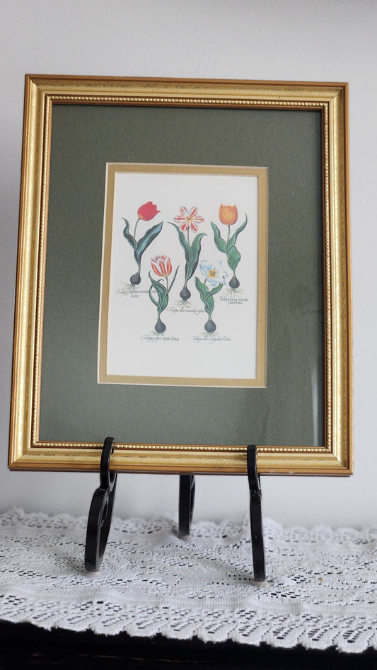 Double Matted Tulip Print